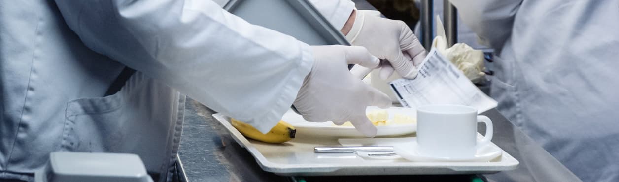HACCP Schädlingsmonitoring ist besonders in Großküchen und Kantinen wichtig