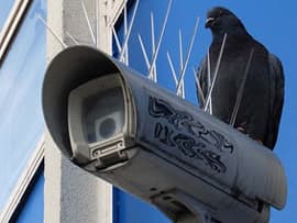 Trotz Maßnahmen zur Taubenabwehr sitzt eine Taube au einer Überwachungskamera in Berlin